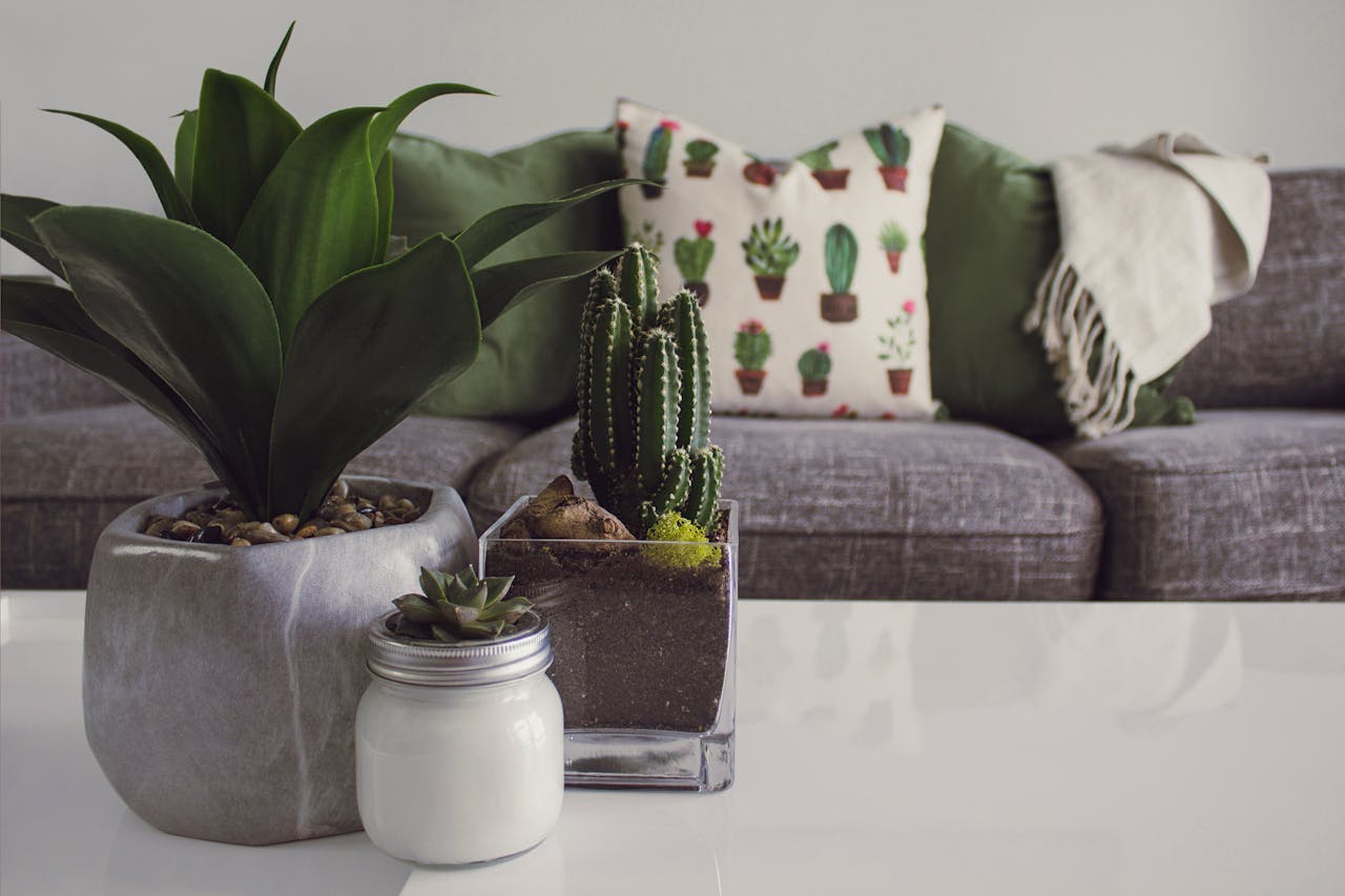 Ontdek de wereld van een inspirerende interieur winkel
